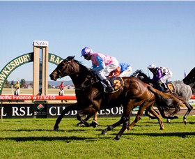 Hawkesbury Race Club - Hotel NSW 1