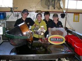 Melba's Chocolate And Confectionery Factory - Hotel NSW 1