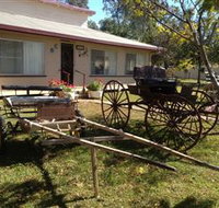 Mr and Mrs Behan Sulky Display - Hotel NSW