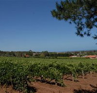 Grancari - Hotel NSW