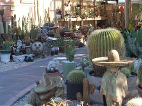 Cactus Creations - Hotel NSW 0