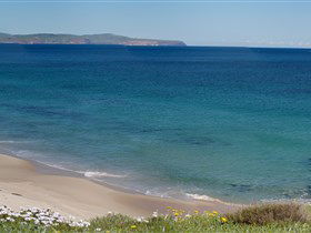 Carrickalinga Beach - Hotel NSW 1