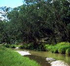 Salvator Rosa Section - Carnarvon National Park - Hotel NSW
