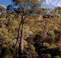 Ka Ka Mundi Carnarvon National Park - Hotel NSW