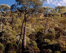 Ka Ka Mundi, Carnarvon National Park - Hotel NSW 0