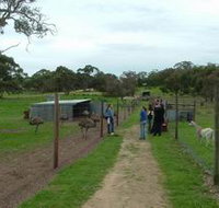 Avenue Emus - Hotel NSW