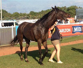 Darwin Turf Club - Hotel NSW 2