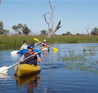 Marsh Meanders - Hotel NSW