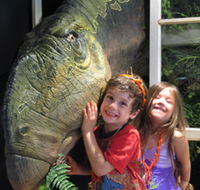 Australian Opal Centre - Hotel NSW