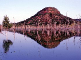 Nuga Nuga National Park And Lake Nuga Nuga - Hotel NSW 3