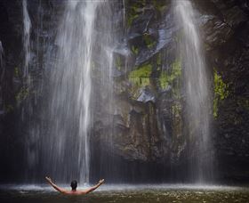 Ellinjaa Falls - Hotel NSW 0