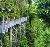 Mamu Tropical Skywalk - Hotel NSW