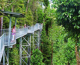 Mamu Tropical Skywalk - Hotel NSW 0