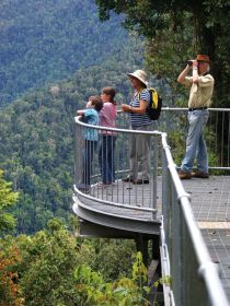 Mamu Tropical Skywalk - Hotel NSW 2