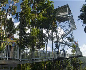 Mamu Tropical Skywalk - Hotel NSW 1