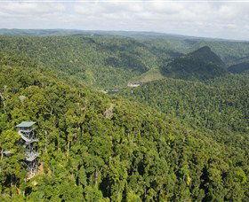 Mamu Tropical Skywalk - Hotel NSW 3