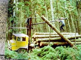 Nangwarry Forestry And Logging Museum - Hotel NSW 3