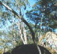 Dergholm State Park - Hotel NSW