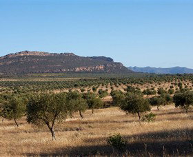 Grampians Olive Co. (Toscana Olives) - Hotel NSW 1