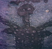 Quinkan Reserves Ancient Rock Art - Hotel NSW