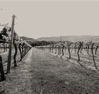Halls Gap Estate - Hotel NSW