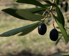 Red Rock Olives - Hotel NSW 0