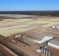 Southern Cotton Gin - Hotel NSW