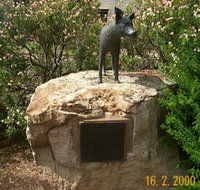Dingo Statue - Hotel NSW