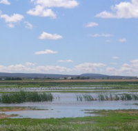 Fivebough Wetlands - Hotel NSW