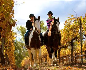 Billabong Ranch - Hotel NSW 0