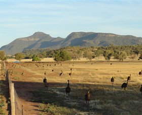 Tooraweenah NSW Hotel NSW