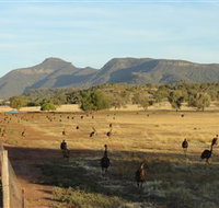 Emu Logic - Hotel NSW
