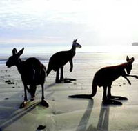 Hibiscus Coast - Hotel NSW