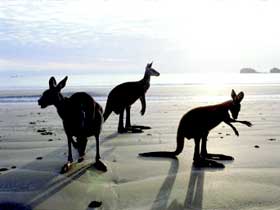 Hibiscus Coast - Hotel NSW 0