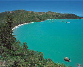 Hibiscus Coast - Hotel NSW 2