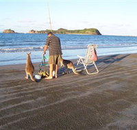 Cape Hillsborough National Park - Hotel NSW