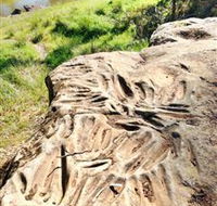 Terramungamine Rock Grooves - Hotel NSW