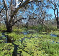 Macquarie Valley Trails - Hotel NSW