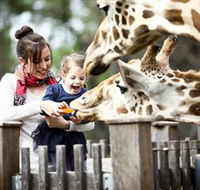 Taronga Western Plains Zoo Dubbo - Hotel NSW