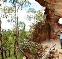 Pilliga National Park - Hotel NSW