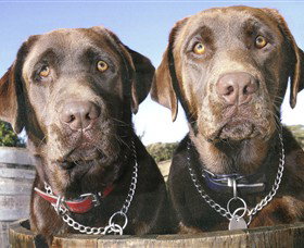 Ellender Estate - Hotel NSW 7