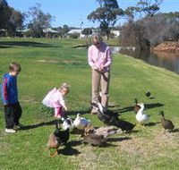 Roy Little Park Merredin - Hotel NSW