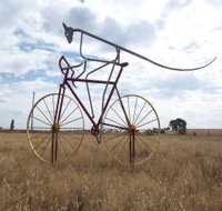 Animals on Bikes - Hotel NSW