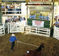 Gracemere Exhibition Complex - Hotel NSW