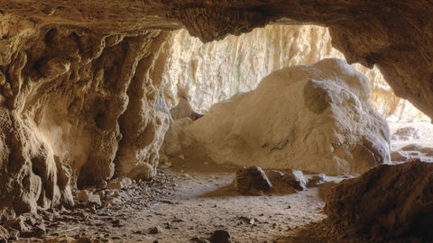 Borenore Karst Conservation Reserve - Hotel NSW 1