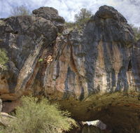 Borenore Karst Conservation Reserve - Hotel NSW