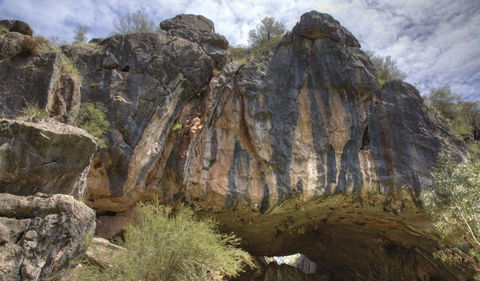 Borenore Karst Conservation Reserve - Hotel NSW 0