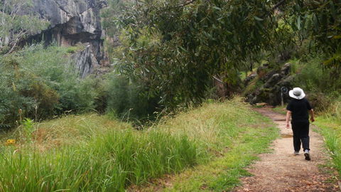 Borenore Karst Conservation Reserve - Hotel NSW 3