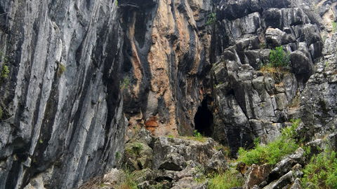 Borenore Karst Conservation Reserve - Hotel NSW 2
