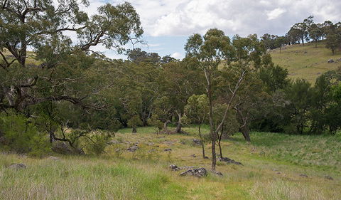 Verandah Cave - Hotel NSW 1